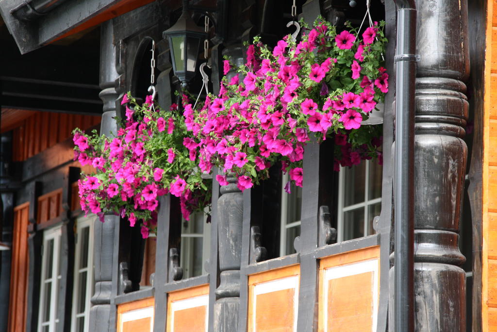 Solvgarden Cottages Rysstad Exterior photo